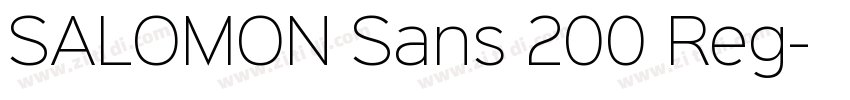 SALOMON Sans 200 Reg字体转换 SALOMON Sans 200 Reg字体转换